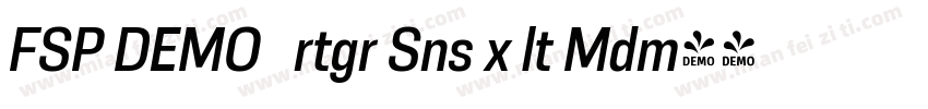 FSP DEMO   rtgr Sns x lt Mdm字体转换